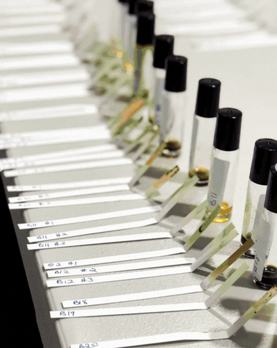 Paperback Perfumes - Podcast